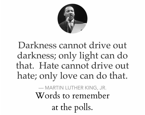 "Darkness cannot drive out darkness; only light can do that. Hate cannot drive out hate; only love can do that." ~ Martin Luther King