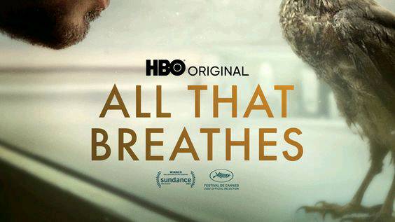 Oscars 2023 : The Best Documentary Nomination "All that breathes"from India.