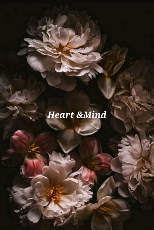 Heart & Mind    What do you think? Is there any conflict between heart and mind or not?