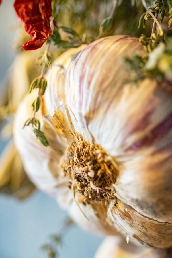 " Garlic Empire " Conquest & Health in Ancient Rome