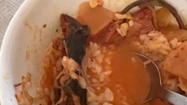 Rodent Soup