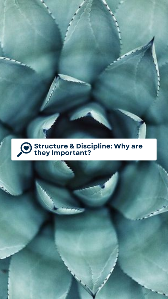 Structure & Discipline: Why are they so important?