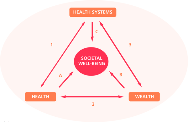The Health-Wealth Problem