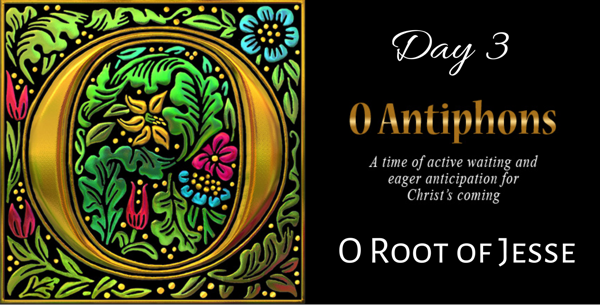 O Antiphons - Day 3 - O Root of Jesse