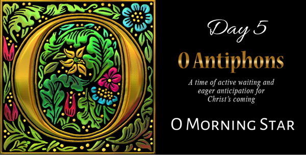 O Antiphons - Day 5 - O Morning Star