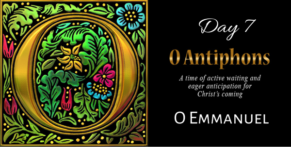 O Antiphons - Day 7 - O Emmanuel