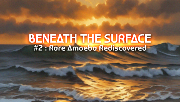 2 - Rare Amoeba Rediscovered [ Beneath the Surface ]