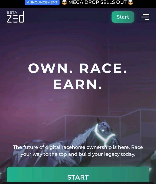 Zed Run: An NFT game built on Blockchain