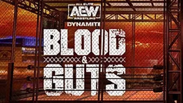 AEW Blood and Guts 2023-Results!