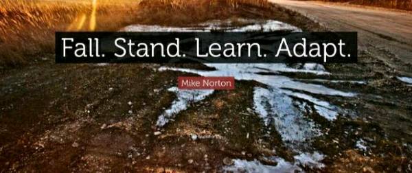 Life cycle:Fall.Stand.Learn.Adapt.    -Mike Norton