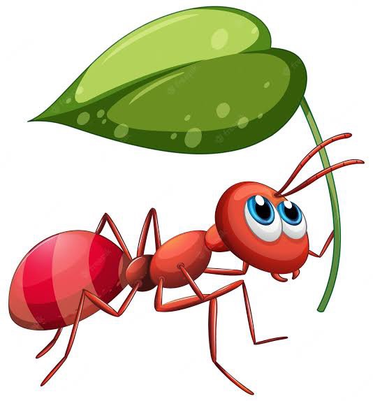 चींटियों से सीखो जीतना
