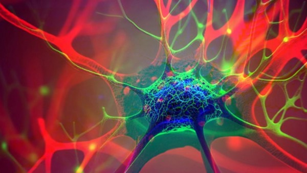 Psychedelics That Heal the Brain