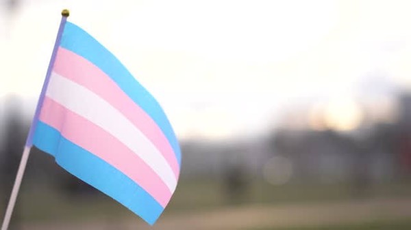 Is ‘trans activism’ the biggest threat to trans & LGB people?