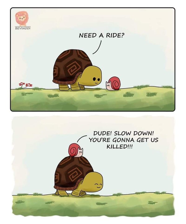 The Snail and the Tortoise