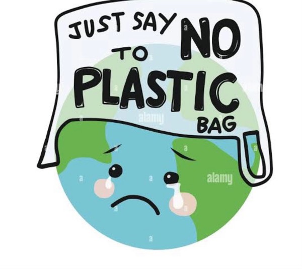 Hello swell family ! Today topic is about say no to plastic bags