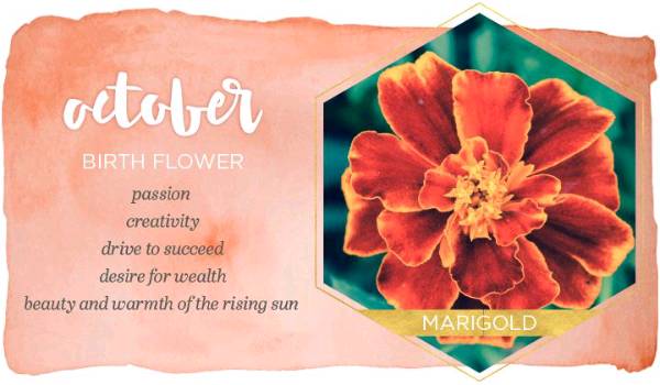 Do you know about 'Birth Flower'???