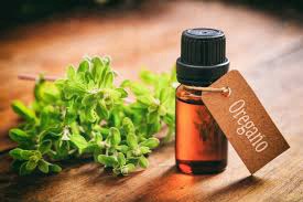 ✨🌿Oregano Oil and its benefits!🌿  I made some and it’s working