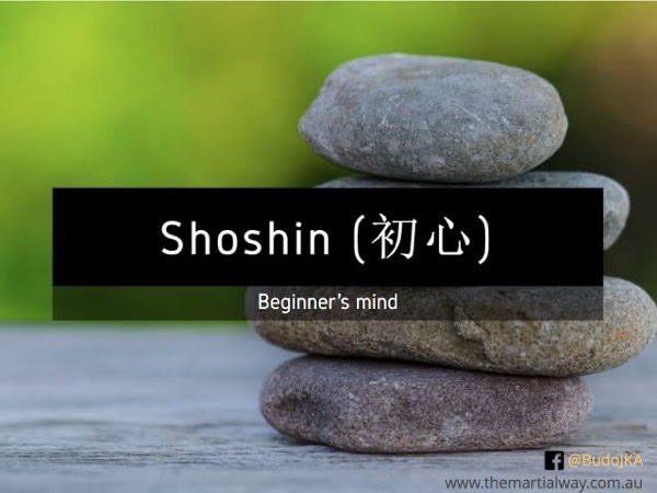 Philosophy of shoshin