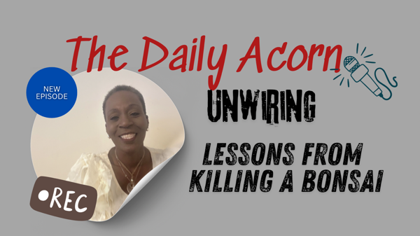 @OnAcornBay | #TheDailyAcorn - What Happens When You Murder A Tree!