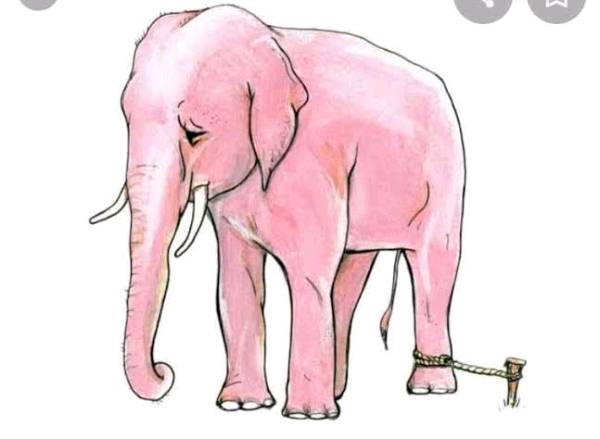 The Inspirational Story - The Elephant Rope (Belief)