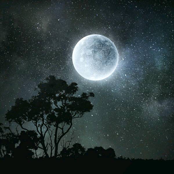 Moon & its Magic. 💫✨