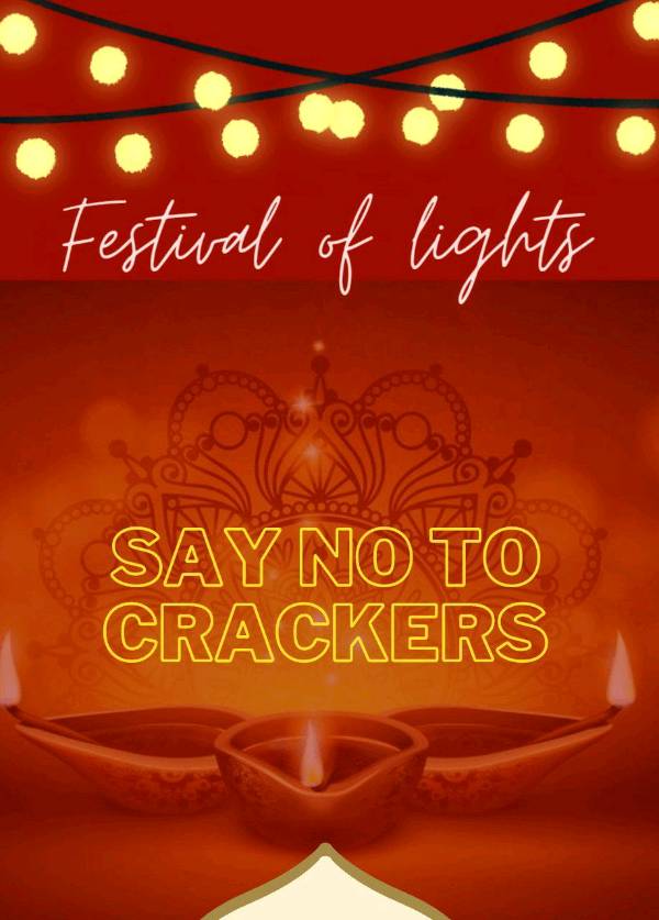 Thoughts on diwali crackers ✨