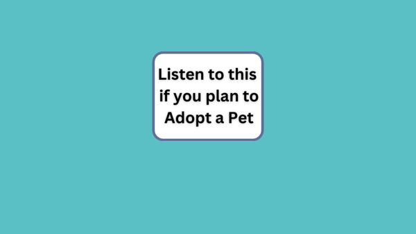 Know this before you Adopt a Pet