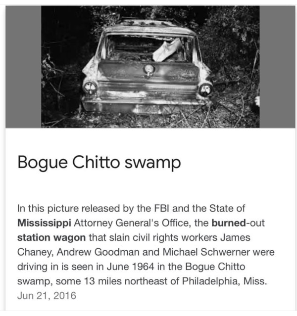 Summer of Freedom…..Bogue Chitte Swamp