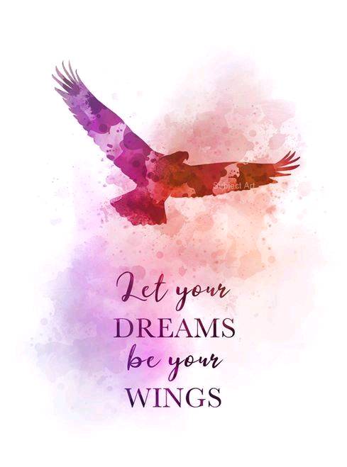 Let your dreams be your wings