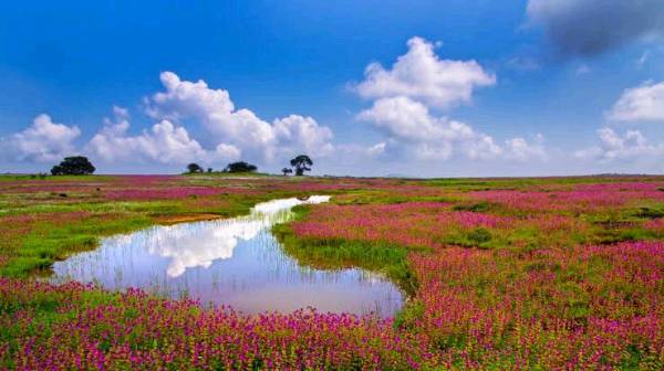Visiting the Kaas Plateau this weekend!