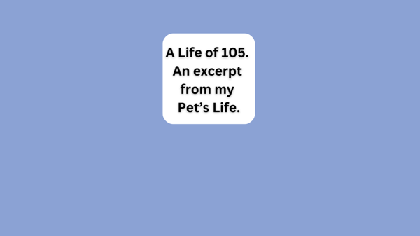 A Life of 105, an Excerpt from my Pet’s Life