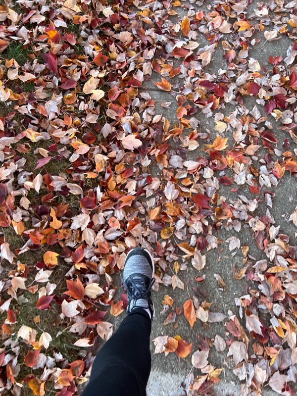 Walking and fall leaves and plant pruning