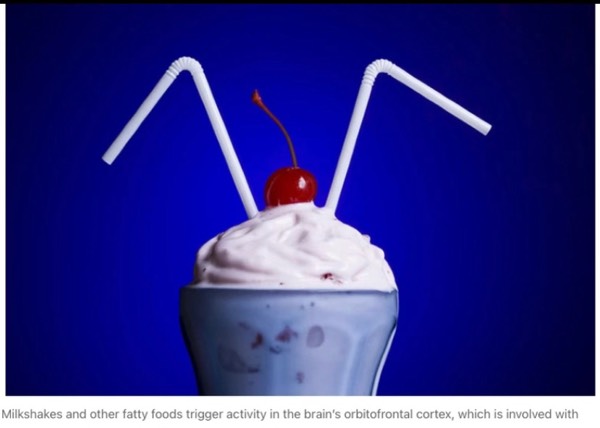 Milkshake Neuroscience Why We Love Foods
