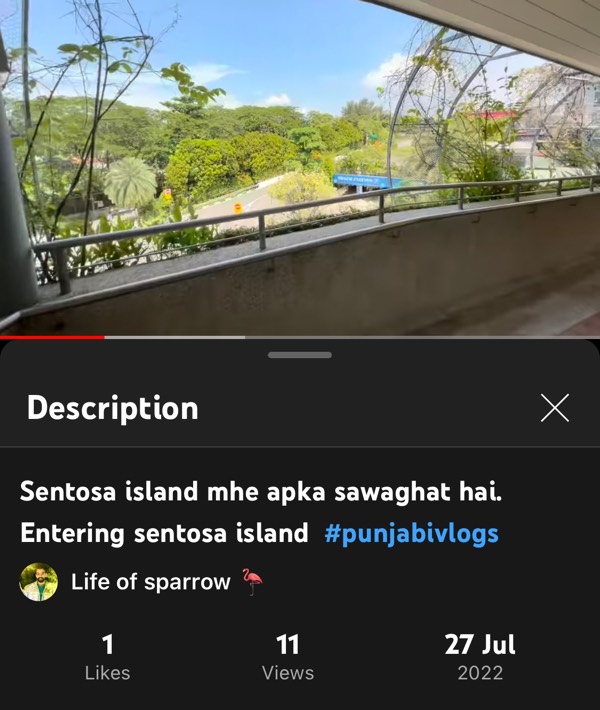 My travel vlogs on life of sparrow youtube