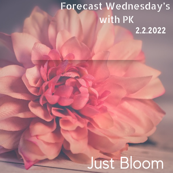 Forecast Wednesday’s: Blooming