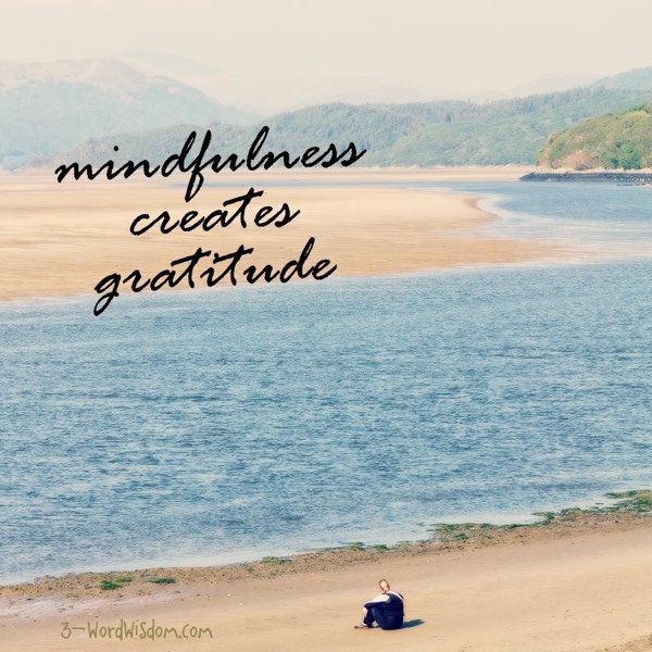 Thankful Thursday - Mindfulness