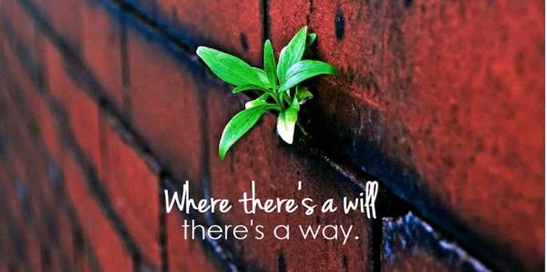 Where there is Will there is a Way