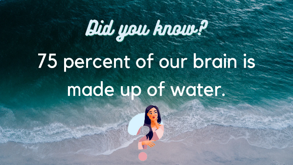 Water makes >70% of our vital organs. 💙