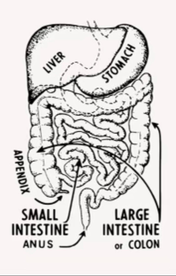 What Causes Nervous Stomach?