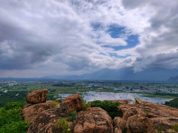 A 360 view of Palani hills