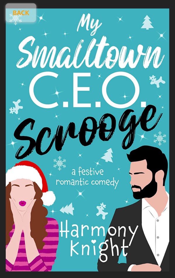 My Smalltown C.E.O. Srooge