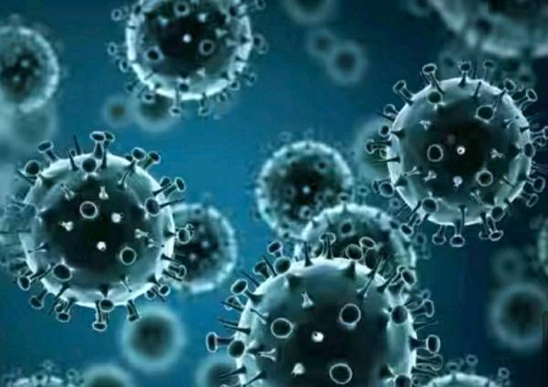 Rise of the H3N2 virus and recognizing it's symptoms |Swastika Acharya