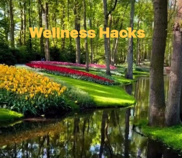 Wellness Hacks part 1