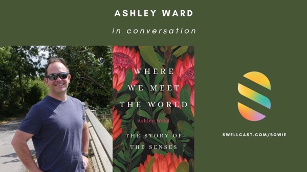 #AuthorInterview | Where We Meet the World: The Story of the Senses by biologist Ashley Ward