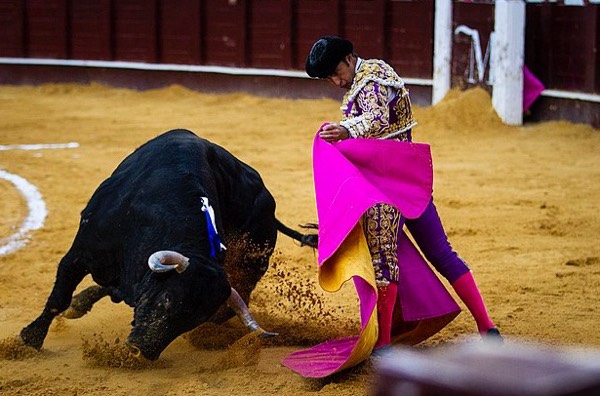 Bullfighting returns to Mexico City #1309