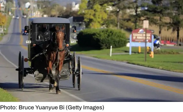 Horse and Buggy Thief bigger trouble than car theft #1314