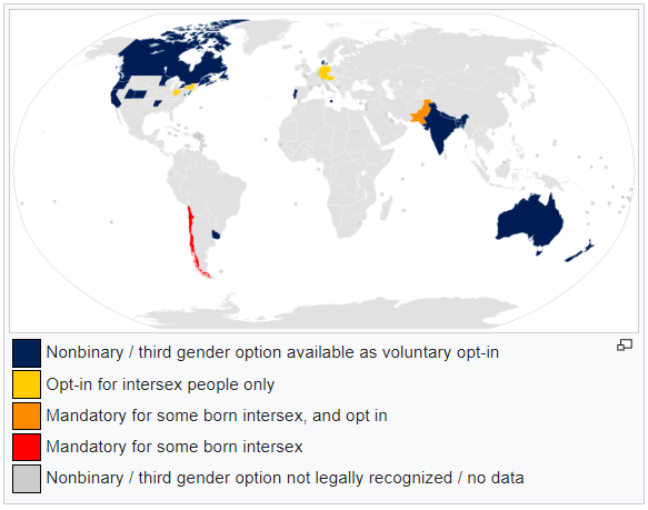 US issues first non binary passport