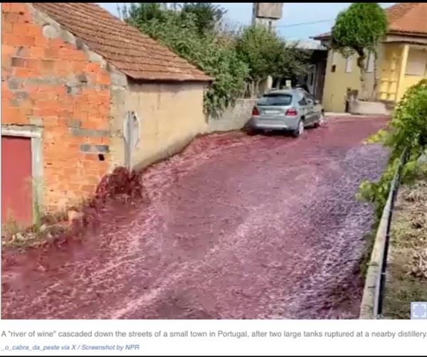 Wine Floods Portugal Streets