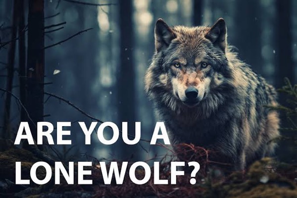 Are you a lone wolf ?
