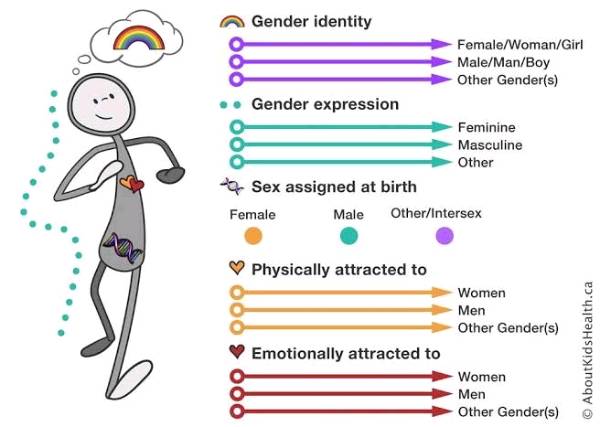 Sex, Gender and Gender Identity : Overview